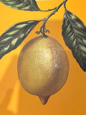 Meet your Posher, Ava